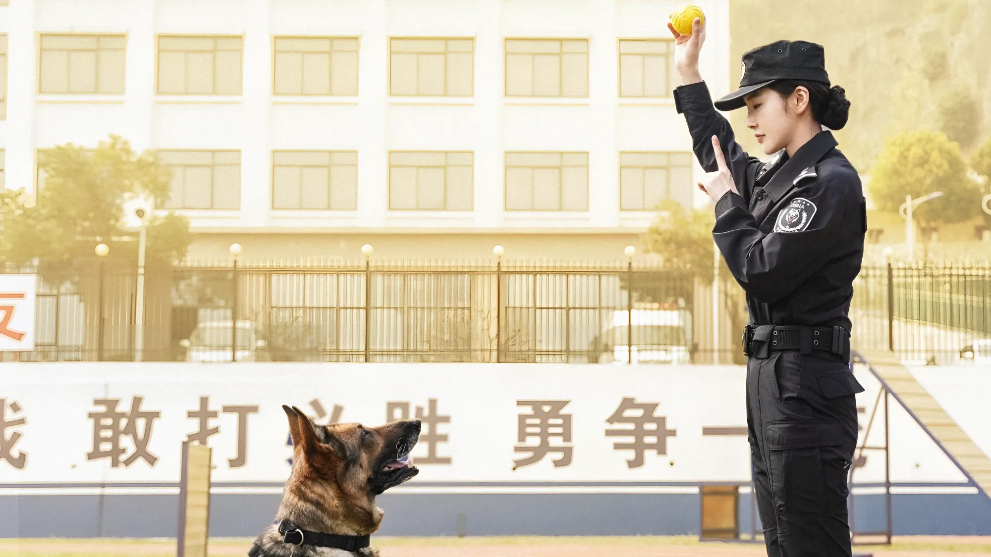 欣欣训练警犬糖包的日常